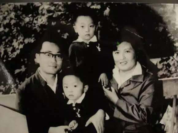 杨丽坤的人生有多悲情