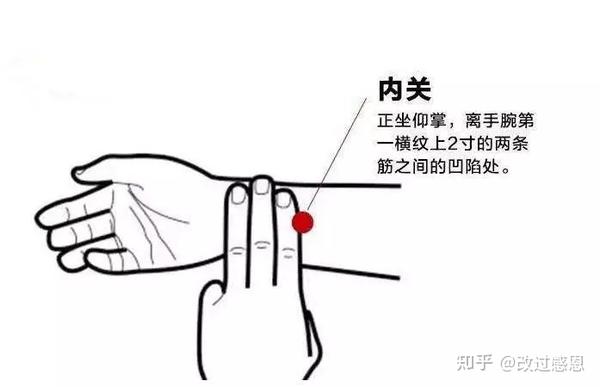 合谷穴:手背第一,二掌骨之间,近第二掌骨之中点