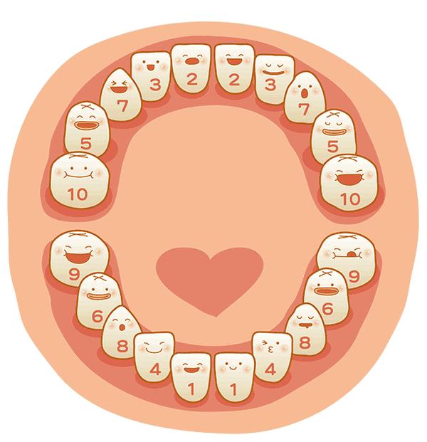 牙知道常识:关于宝宝乳牙的知识了解一下