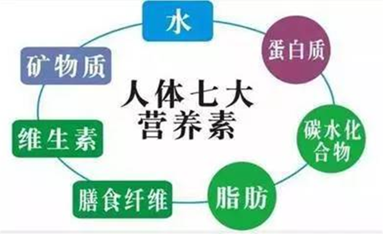 人体需要的七大营养素有哪些营养素对人体的作用是什么