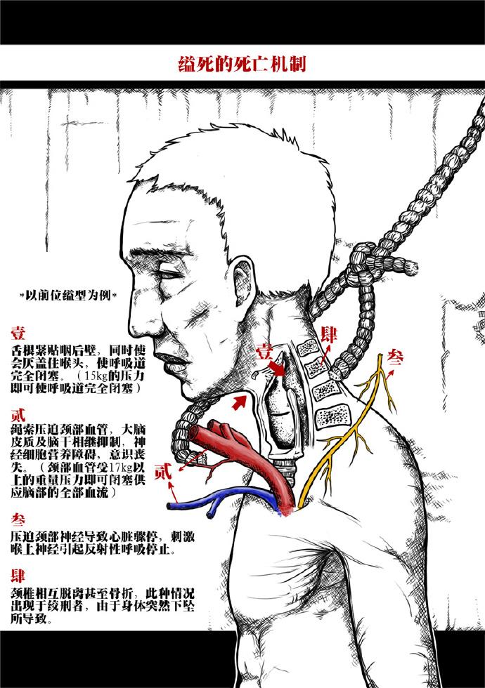 慎入关于上吊那点事儿
