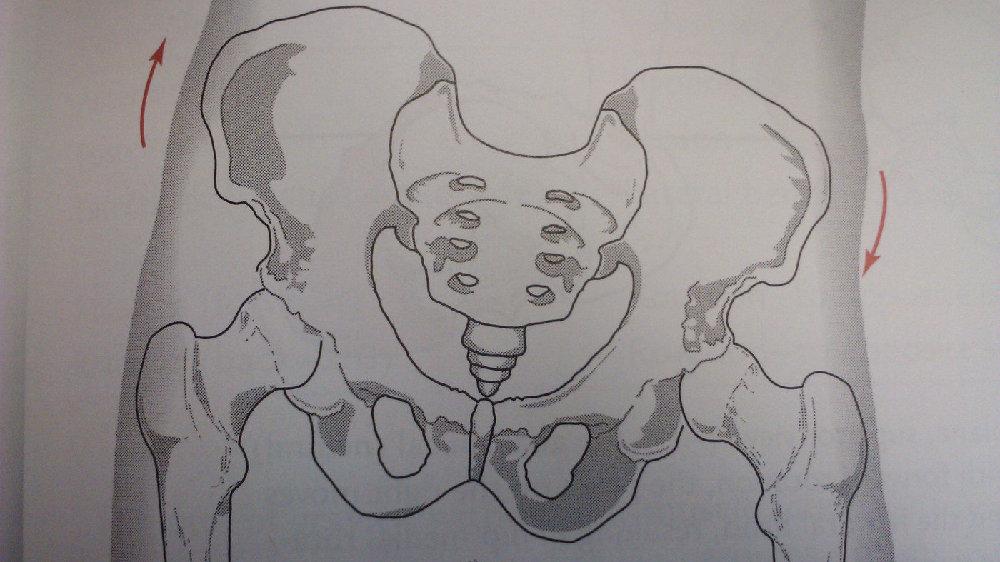 译文分享骨盆侧倾的真实原因与矫正方法