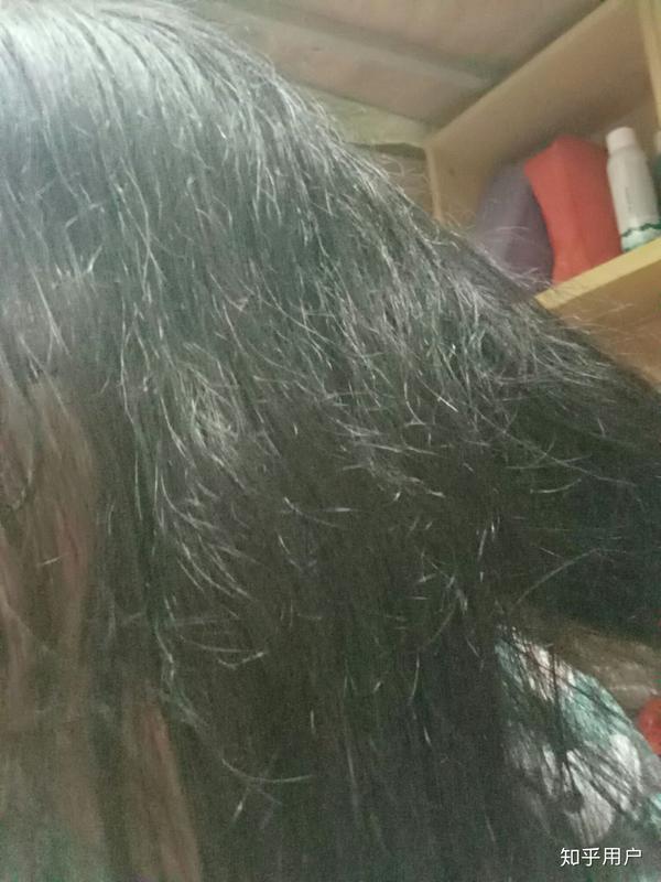 头发容易炸毛是一种怎样的体验?