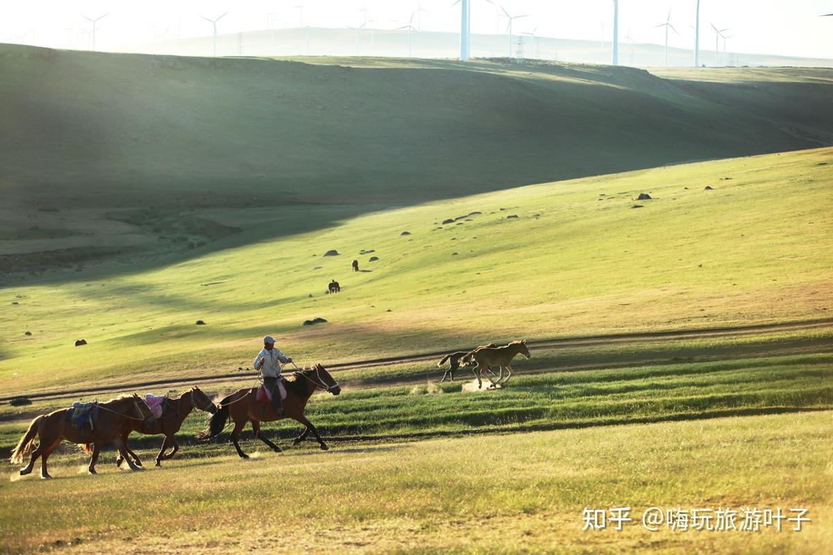 内蒙古旅游攻略五天四夜超详细攻略草原沙漠火山