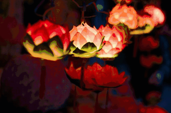 640_425gif 动态图 动图
