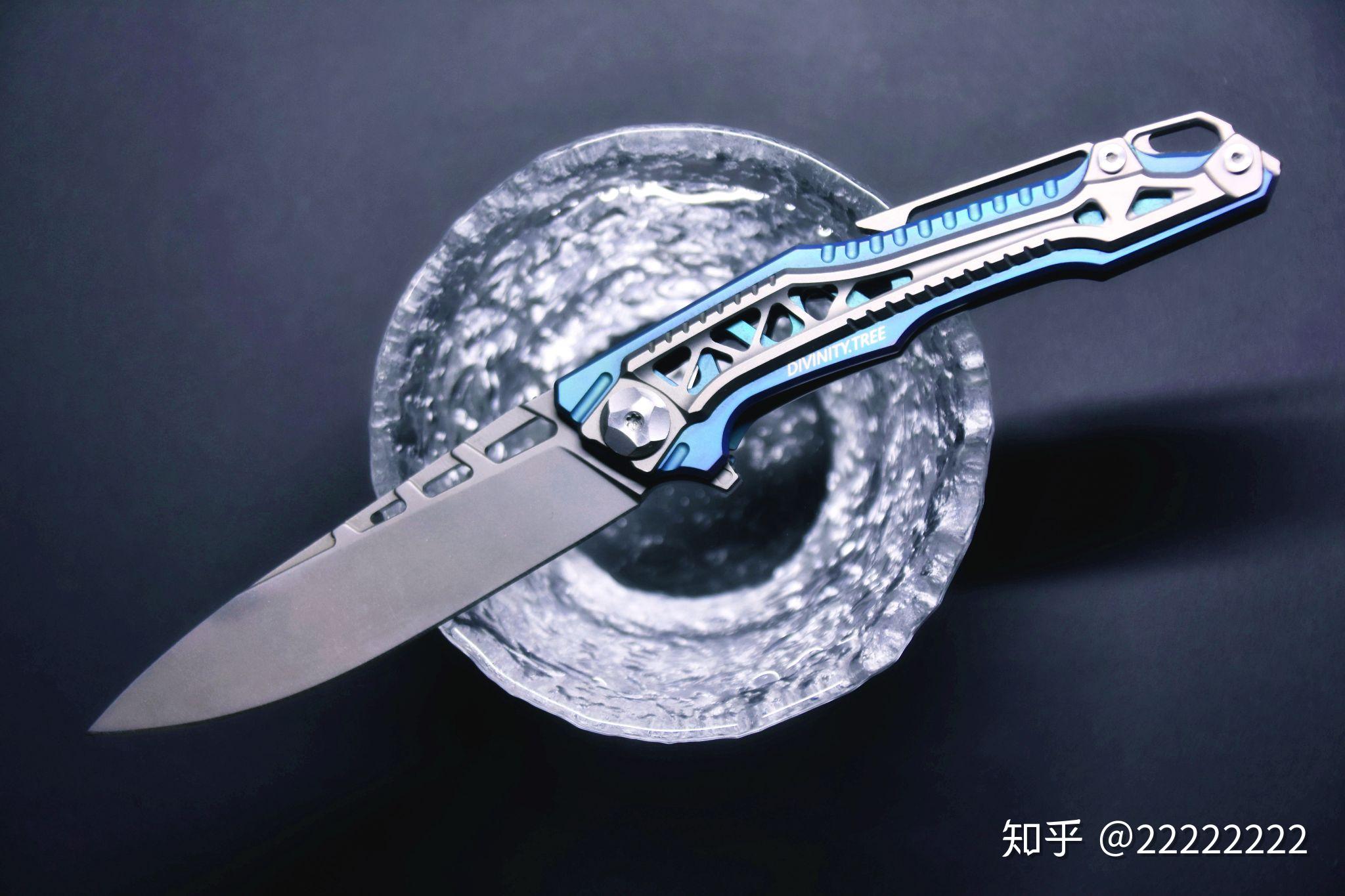 如何评价肥龙设