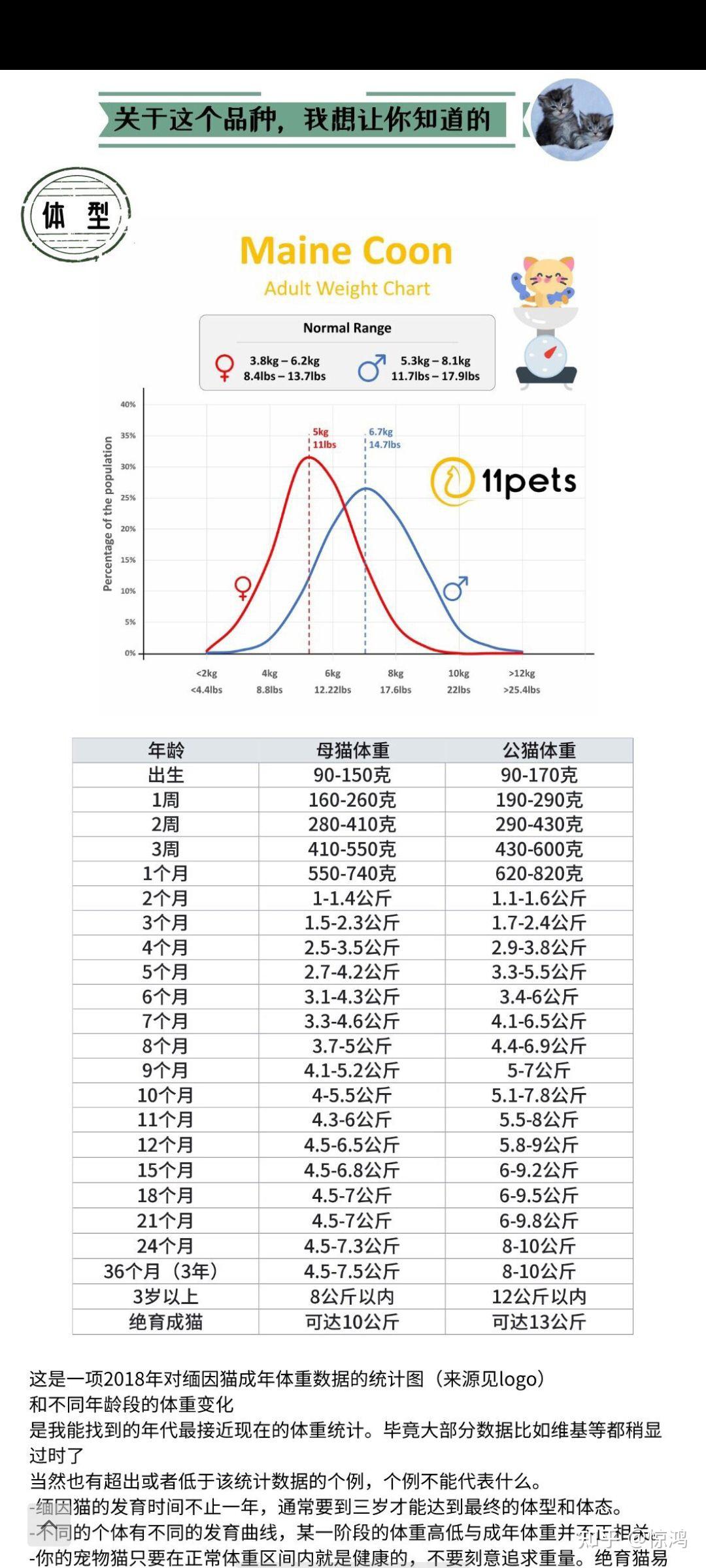 有猫友知道缅因几个月大标准体重是多少吗