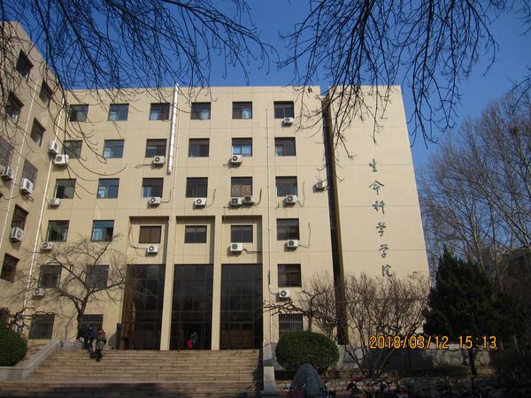 山东大学,生命科学学院北楼