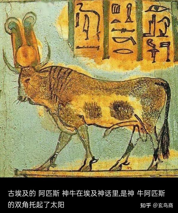 普塔神玄嚣在古埃及的形象有时也以圣牛阿匹斯的形象出现,如下图