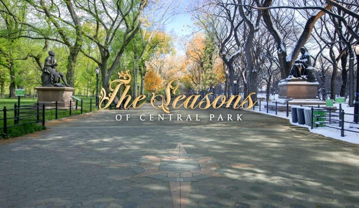 4 人 赞同了该文章 中央公园(central park)是位于纽约市曼哈顿中心