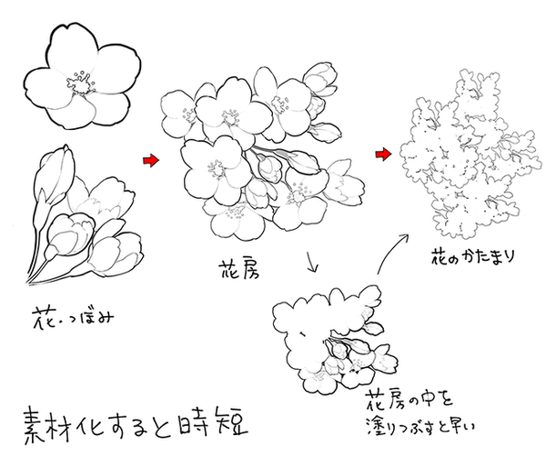 4种花卉画法参考!