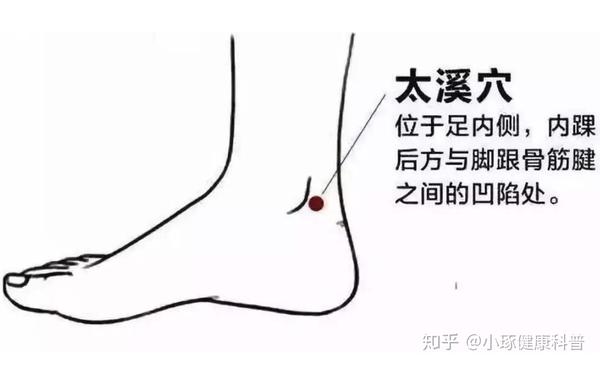 因为内脚踝还有一个特别重要的穴位,排名和三阴交不分前后,就是足少阴
