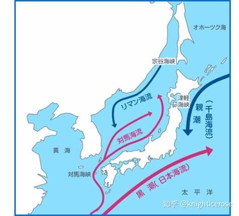 元朝在登陆日本本土失败后为什么不继续占领对马岛