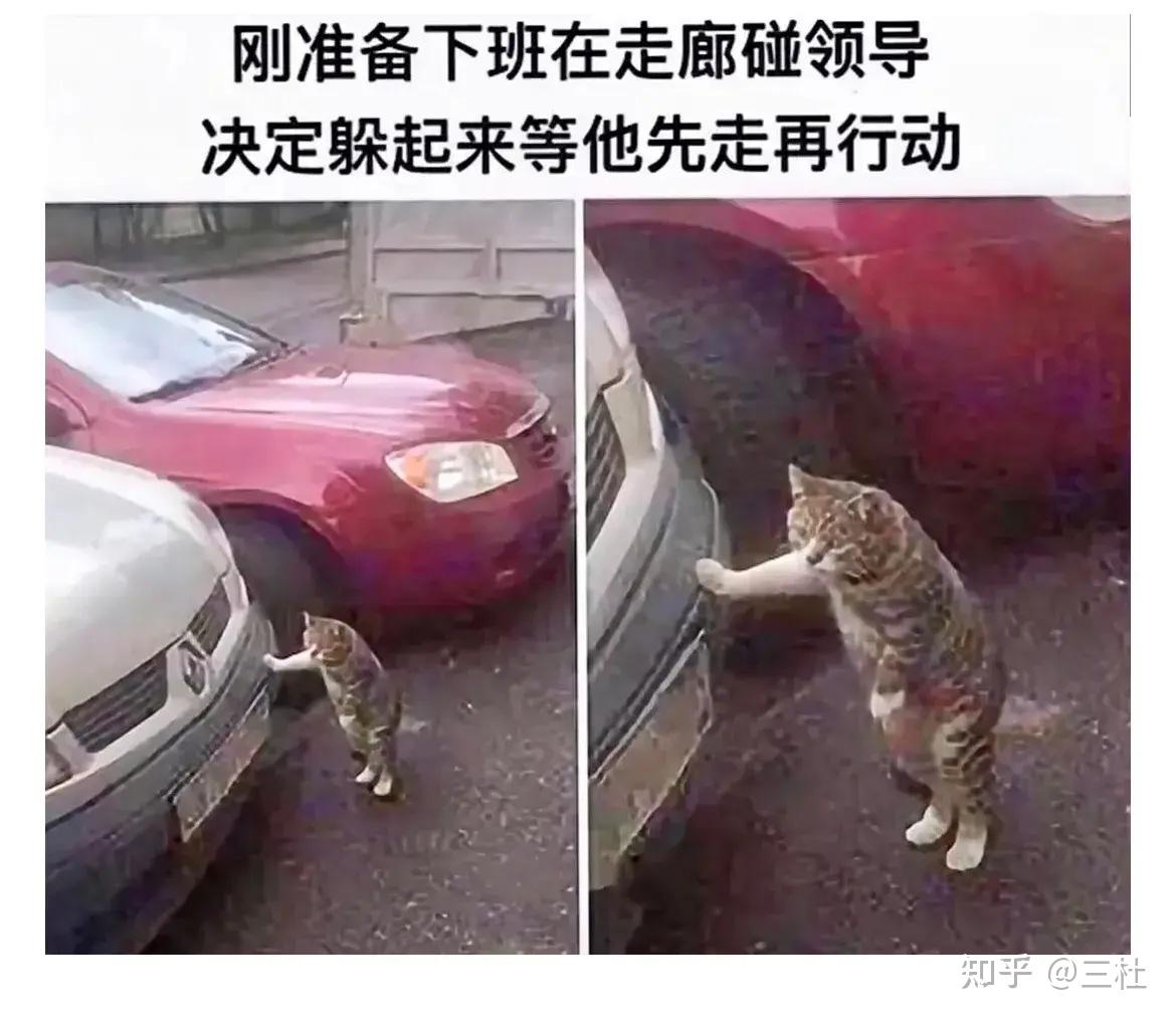 有哪些可以笑死人的笑话