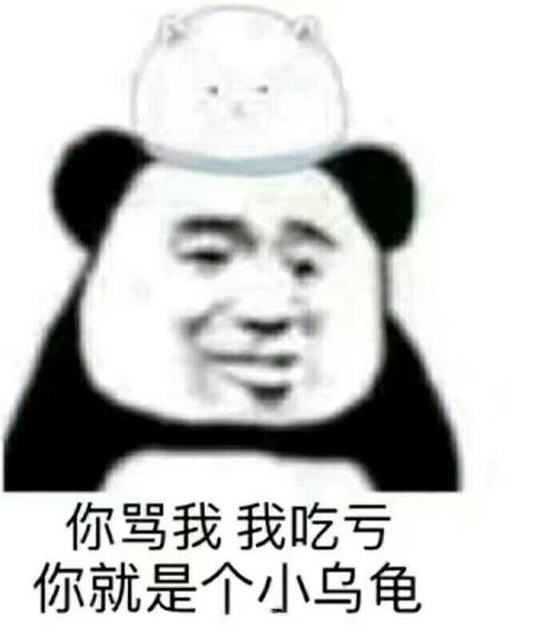 作为一个心态比较好的玩家,我一般不会发干的漂亮来嘲讽队友 但是