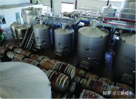 爱诗齐酒庄作为一家以质量作为原则的公司在智利优质