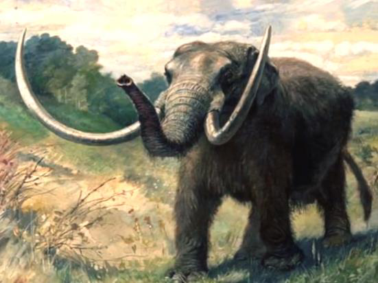 史前巨兽或将重返地球 美国专家计划4至6年内"复活"猛犸象