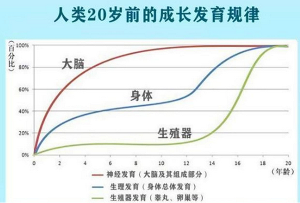 促进大脑发育的3个方法