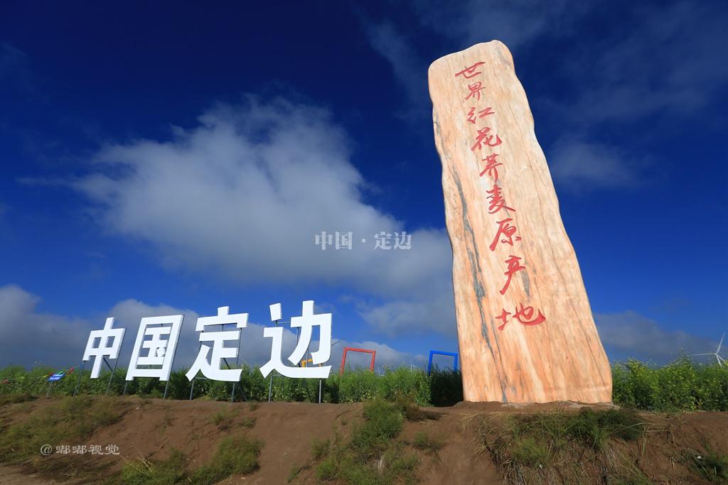 中国定边 "世界红花荞麦原产地旅游观光美食节"媒体大