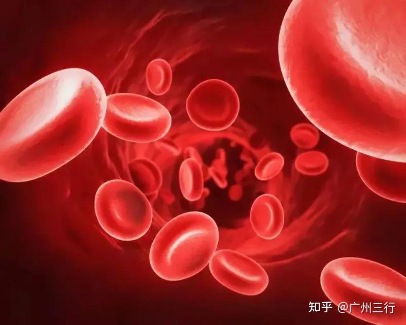 血蛋白 zhuanlan.zhihu.com