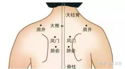 贴后背 一般贴在宝宝的两个肩胛骨的中间,基本上可以覆盖到风门,肺腧