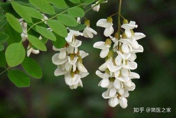 一,补充维生素d →鸡子黄,牛黄