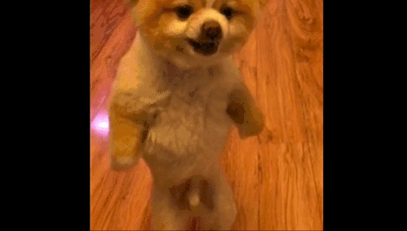 哪些表情包让你看一次笑一次?