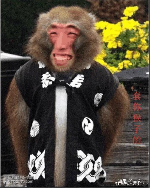 旭旭宝宝紧紧抱着自己刚套的猴子大气不敢喘