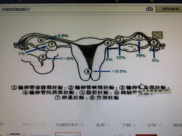 从备孕到早孕,这些常识你一定要懂 下一篇:受孕早期的