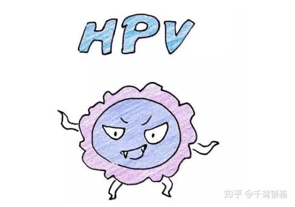 男性感染hpv的相关问题