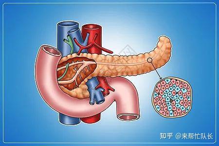 长期服用胰岛素会对人体产生副作用那要怎么控血糖呢