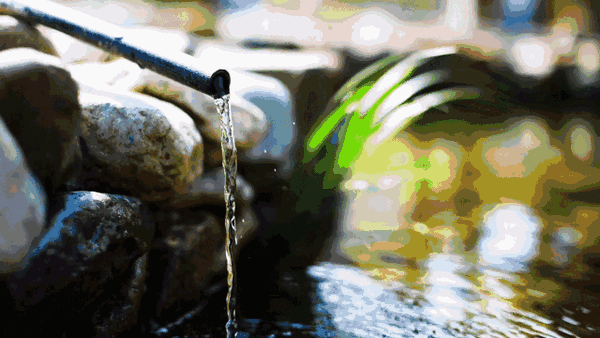 井水西瓜,泳池派对,峡谷漂流,就藏在那片竹海丨莫干山