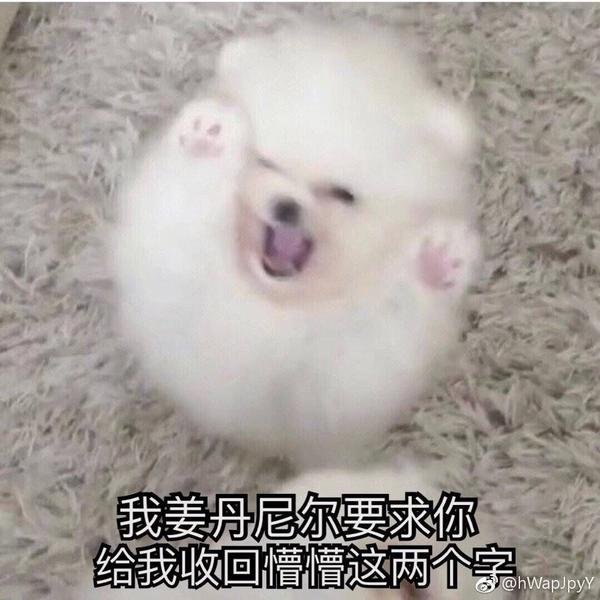 懵懵变身!