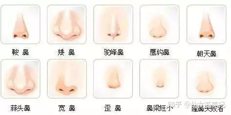 对鼻梁,鼻翼,鼻尖等全方位综合塑形
