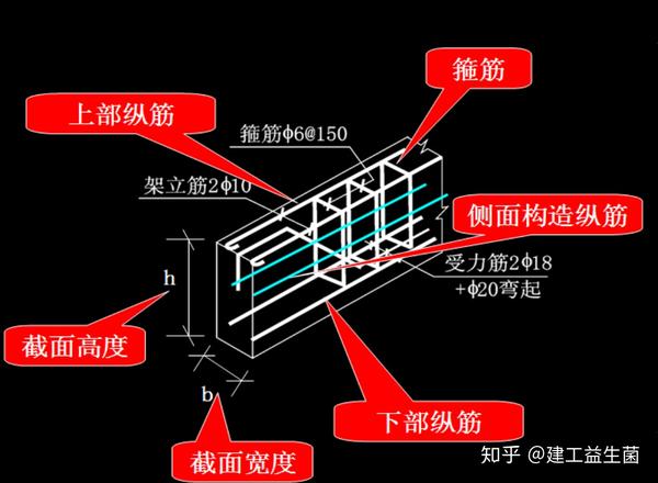 242页钢筋识图与算量实战讲义,梁柱墙板,7天看懂钢筋图纸