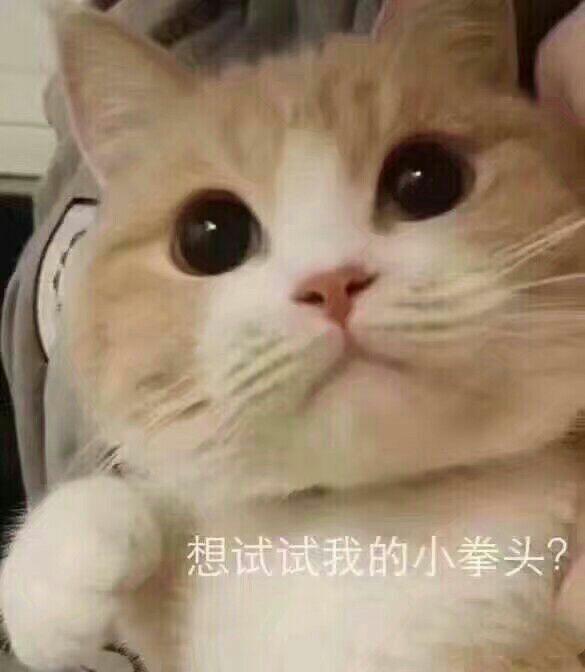 当然是打人连招啦