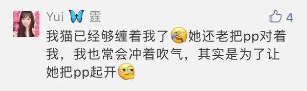 你这是准备好给猫舔pp了
