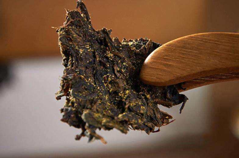 中国茶叶之花金花冠突散囊菌的功效