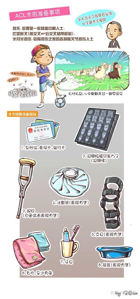 前交叉韧带重建的术前准备与术后康复(漫画版)