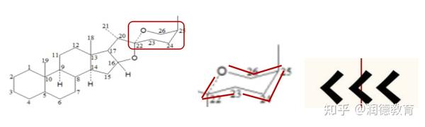 考试专栏大家来找茬之苷类结构式记忆法
