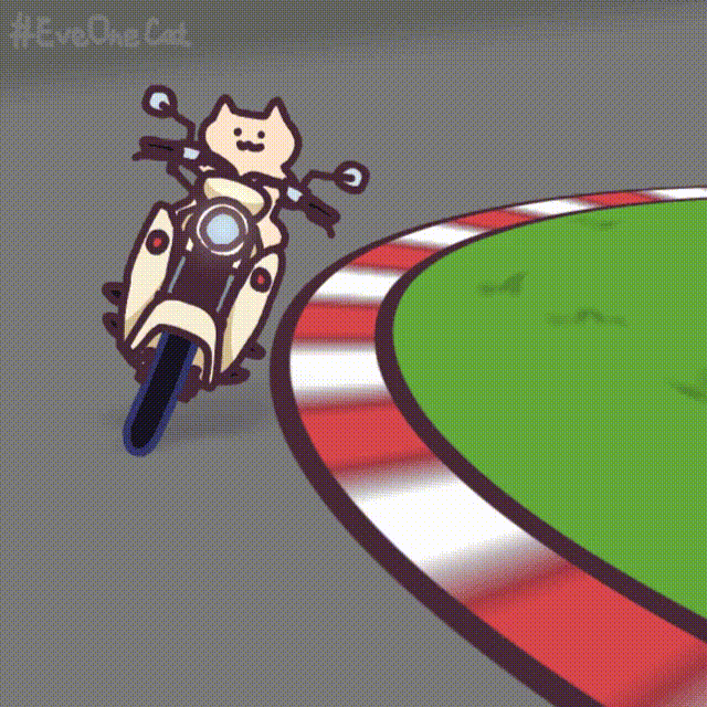 魔性猫猫everydayonecat表情包