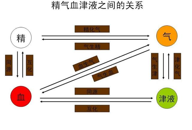 揭开身体内精气血津液之间的关系力荐