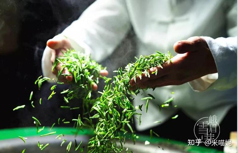 川茶经典十年历练茶以山名山以茶显