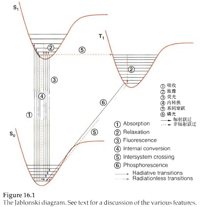 mpoc笔记第十六章2jablonski图1