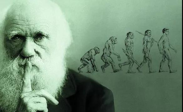 最熟悉的陌生人达尔文和他的进化论究竟是什么