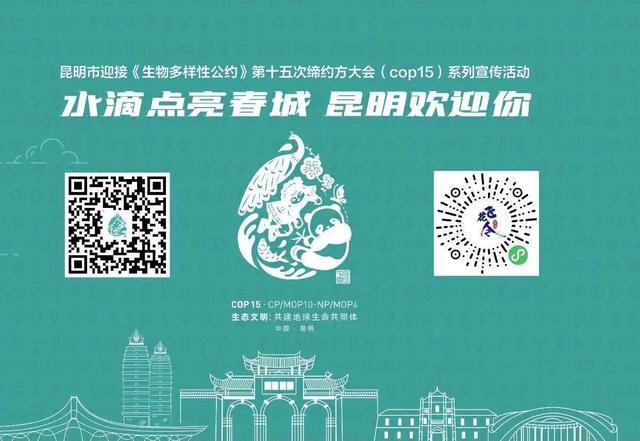 cop15昆明宣传周正式启动扫码报名就能参加围观精彩活动