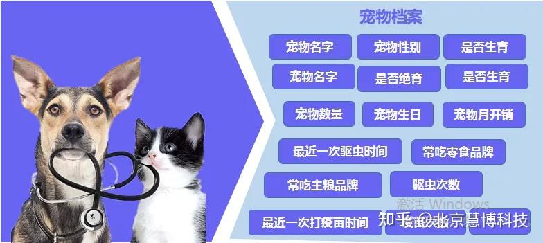 宠物行业也不例外.如何更快的"懂"年轻人,成为了品牌增长的竞争核心.