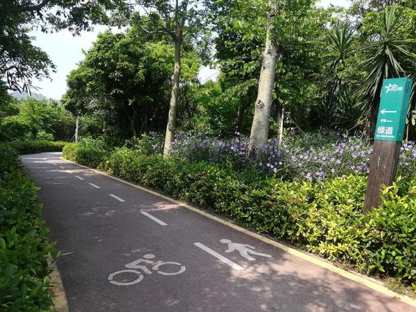 深圳徒步路线-梧桐绿道环湖