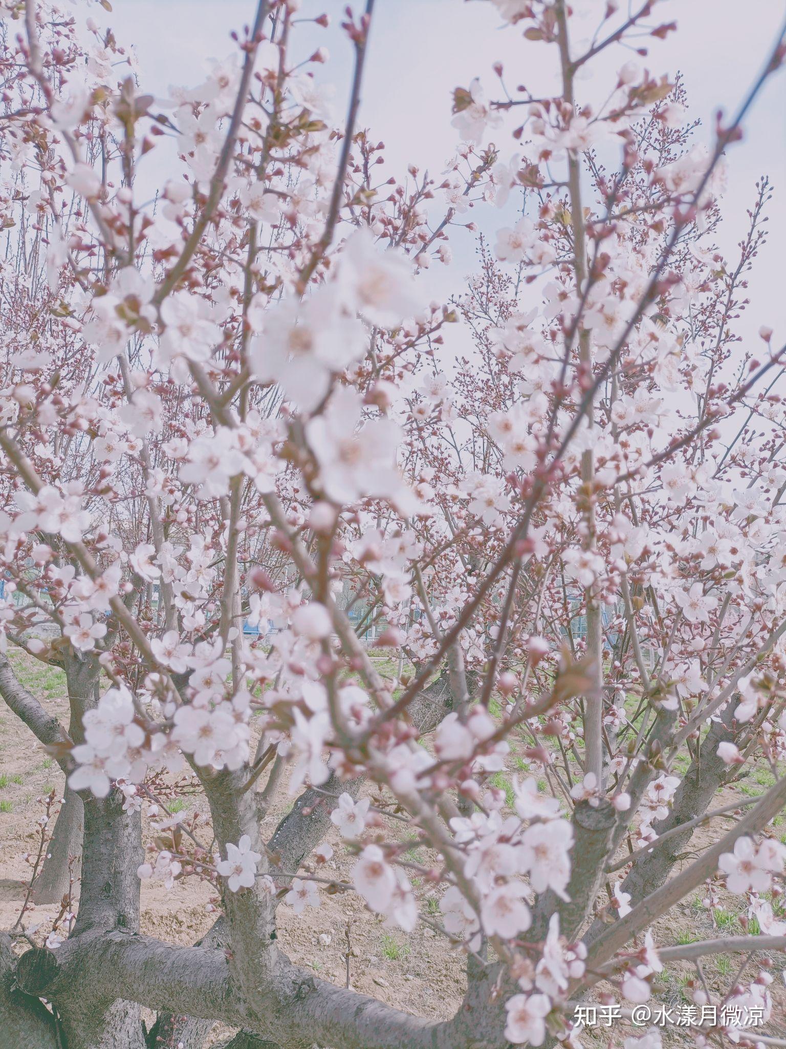 相见恨晚幸未晚,不再辜负四季花但得一知己,慰尽风尘无奈未曾留下任何