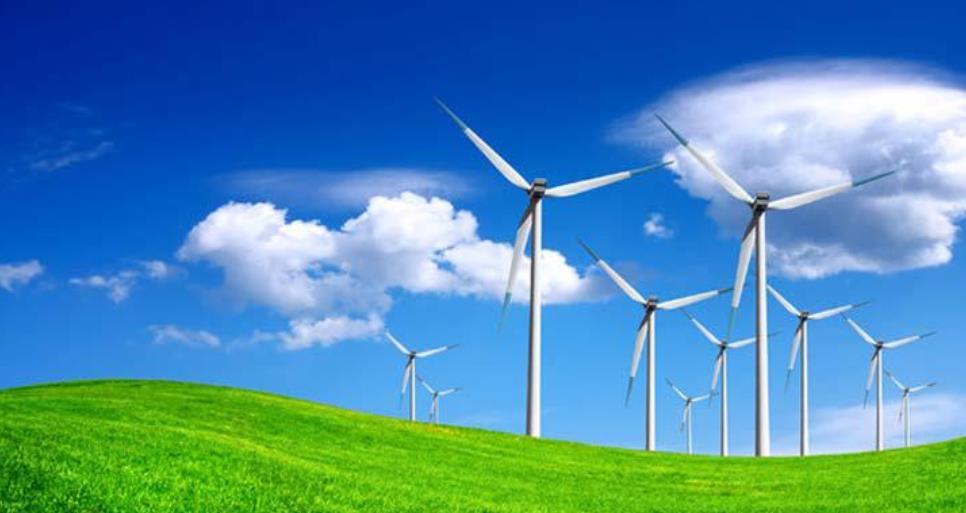 2021年上半年风电市场海上风电建设加快整机招标规模大幅增长